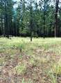 5131 Forest Service Road 137A Road - Photo 7