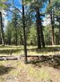 5131 Forest Service Road 137A Road - Photo 8