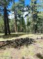 5131 Forest Service Road 137A Road - Photo 9