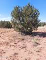 5912 Cow Bell Road - Photo 3