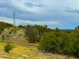 132 Sidewinder Road - Photo 3