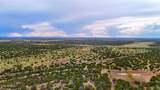 132 Sidewinder Road - Photo 8