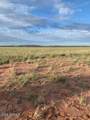TBD 45 ACRES - Photo 1