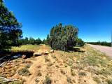 8571 Haven Crest Drive - Photo 4