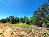 8571 Haven Crest Drive - Photo 9