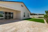 10446 Lone Cactus Drive - Photo 31