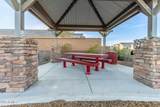 10446 Lone Cactus Drive - Photo 37
