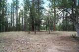 283 Lookout Trail - Photo 10