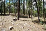 283 Lookout Trail - Photo 2