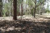 283 Lookout Trail - Photo 3