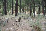 283 Lookout Trail - Photo 5