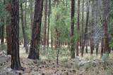 283 Lookout Trail - Photo 6