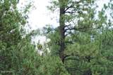 283 Lookout Trail - Photo 8