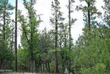 283 Lookout Trail - Photo 9
