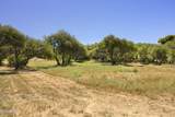 1036 Amber Way - Photo 10