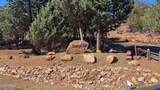 79 Ruin Hill Loop - Photo 11