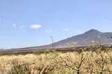 16.4 Acres Purdy Lane - Photo 1