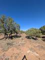 7267 Red Feather Court - Photo 17