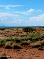 TBD Ee Ranch Lot 2 Of 4 Road - Photo 4