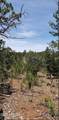 5113 Sunset Ridge Loop - Photo 2
