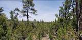 5113 Sunset Ridge Loop - Photo 3