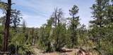 5113 Sunset Ridge Loop - Photo 4