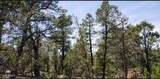 5113 Sunset Ridge Loop - Photo 7