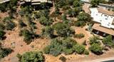 307 Calle Linda - Photo 11