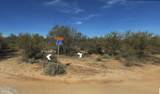 161XX Dixileta Drive - Photo 11