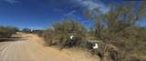 161XX Dixileta Drive - Photo 14