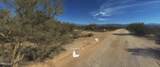 161XX Dixileta Drive - Photo 15
