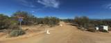 161XX Dixileta Drive - Photo 17