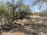 161XX Dixileta Drive - Photo 4