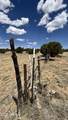 17 County Road N8034 - Photo 22