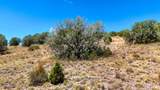 00 Hilltop Trail - Lot D3 - Photo 8