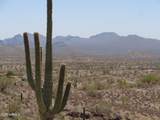 12906 Goldfield Road - Photo 5