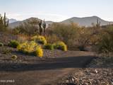 2121 Sonoran Desert Drive - Photo 17