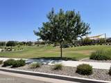 16162 Questa Drive - Photo 39