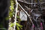 0 Charleau Gap Road - Photo 8
