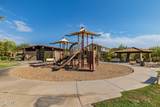 9990 Desert Beauty Drive - Photo 76