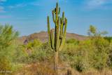9990 Desert Beauty Drive - Photo 91
