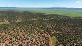 39.93 ACRE Titan Ranch Road - Photo 6