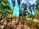 Lot 19 Strawberry Hollow - Photo 11