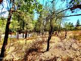 Lot 19 Strawberry Hollow - Photo 9