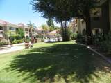 8653 Royal Palm Road - Photo 29