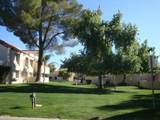 7360 Via Camello Del Norte - Photo 19