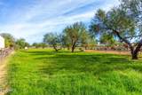 42803 Murphy Avenue - Photo 69