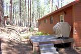 2592 Tom Loop - Photo 18