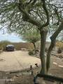 15015 Desert Willow Drive - Photo 21
