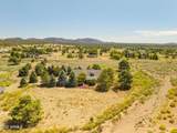 12870 Doyle Road - Photo 46